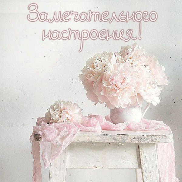 замечательного настроения