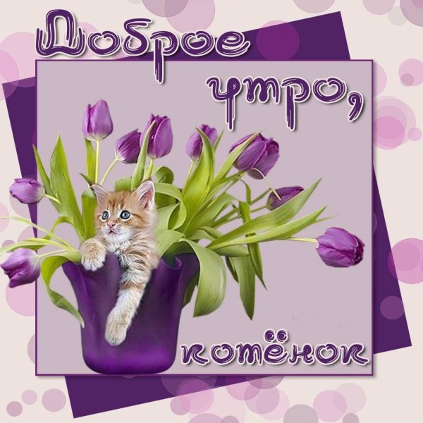 доброго вторника весна