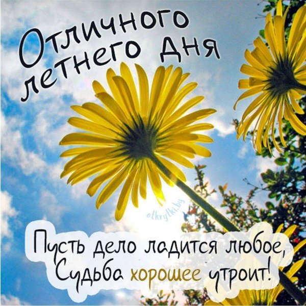 доброго летнего утра вторника