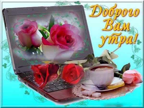 доброе утро мой виртуальный друг