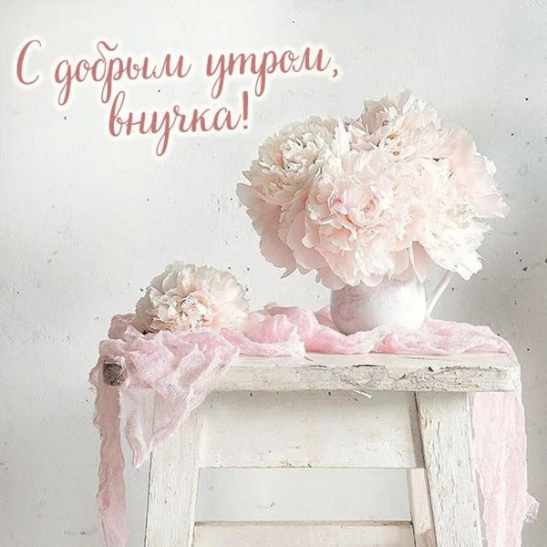 пионы нежные