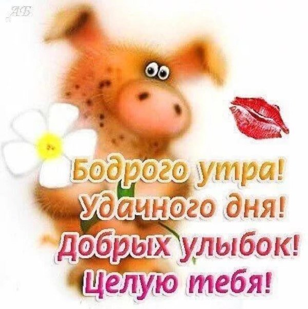 хорошего дня целую