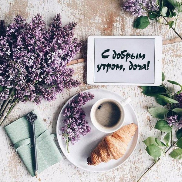 нилето сирень