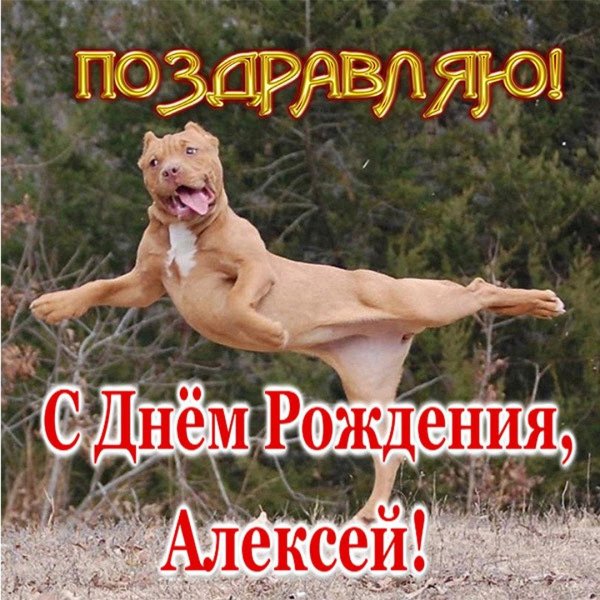 смешные поздравления с днем рождения