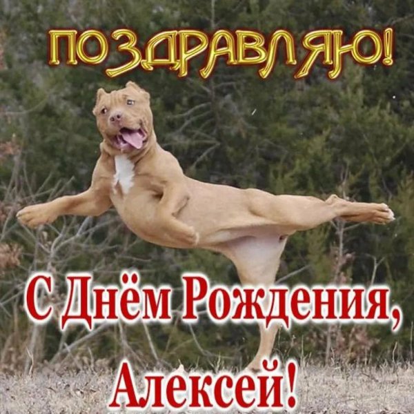 смешные поздравления с днем рождения