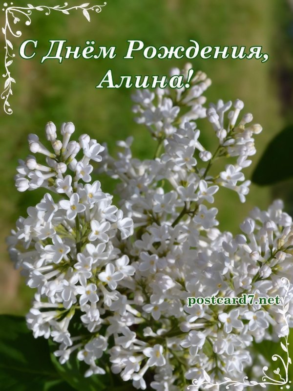 алина с днём рождения открытки красивые