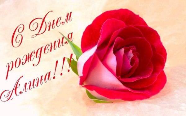 день рождение