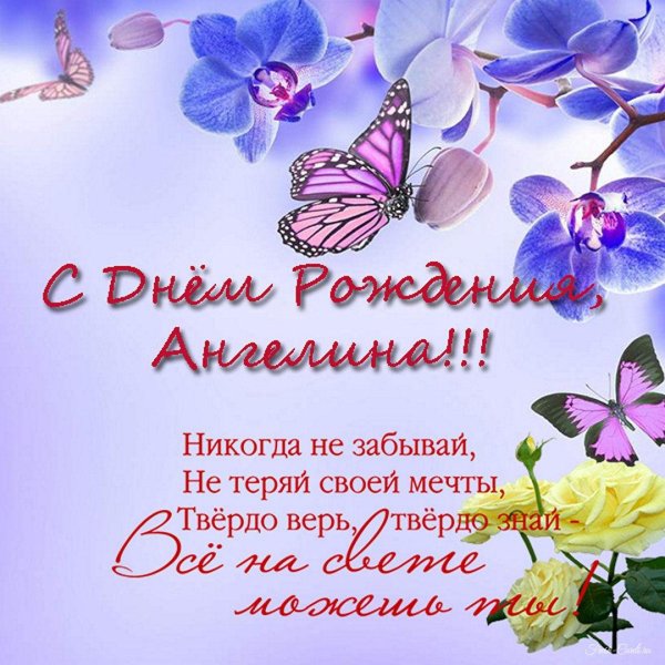 цветок бабочка