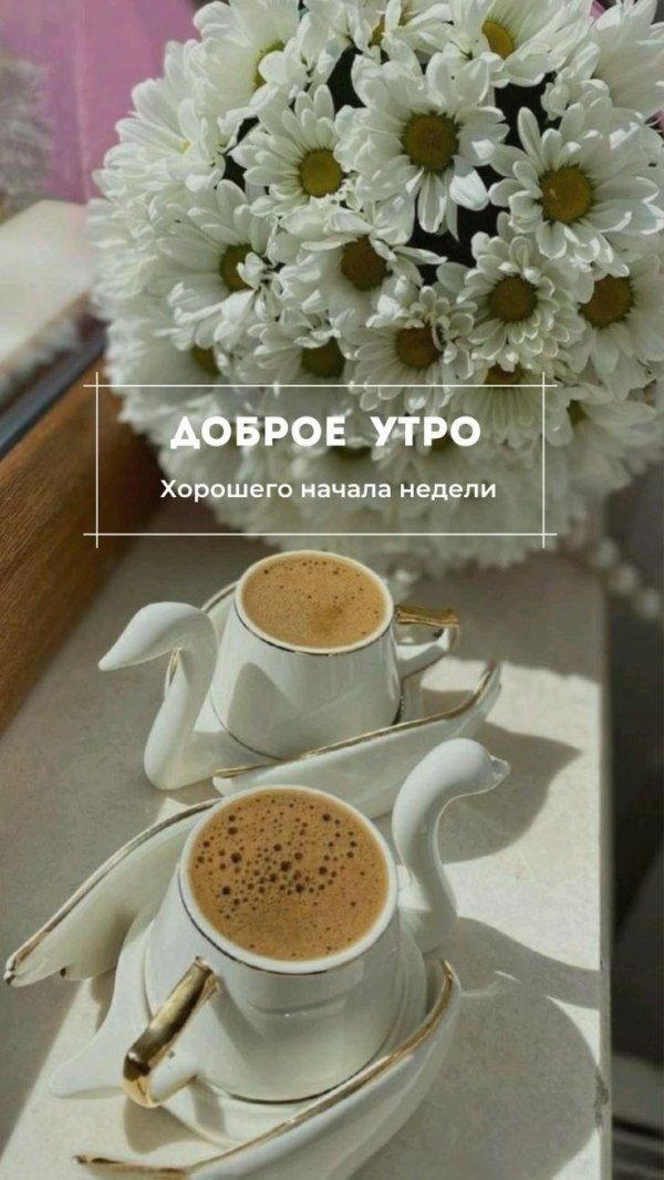 доброе утро хорошего начала недели