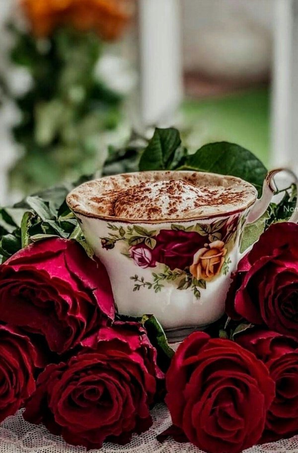 доброго утра с розами