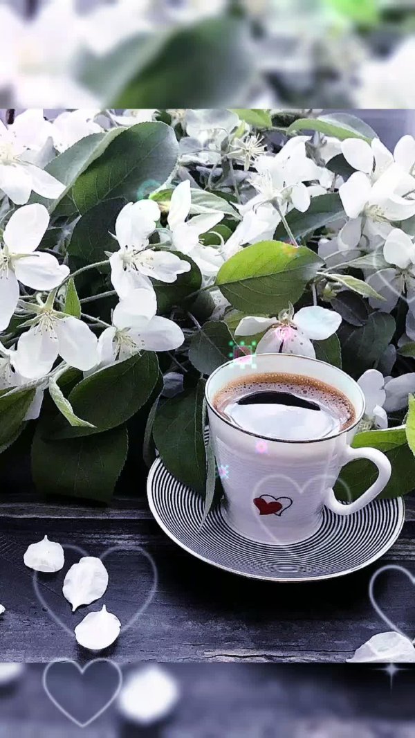 кофе цветок