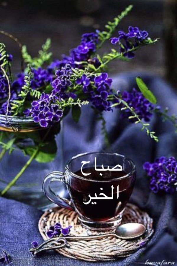 шалфеевый чай