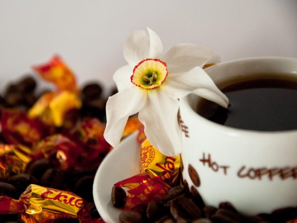 красивый кофе