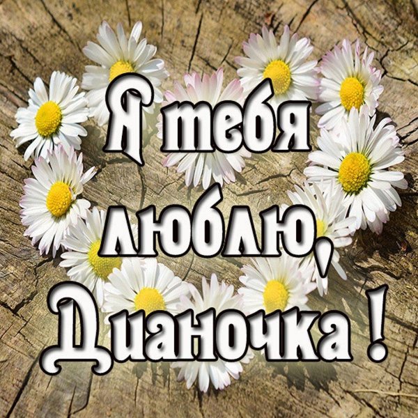 галя я тебя люблю