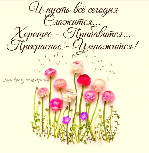 поздравления пожелания