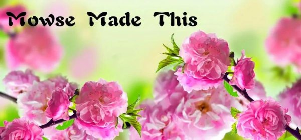 красивая цветок