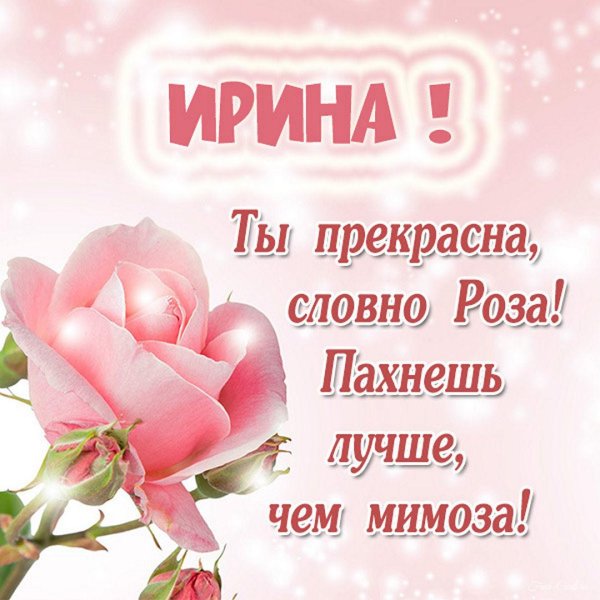 словно роза