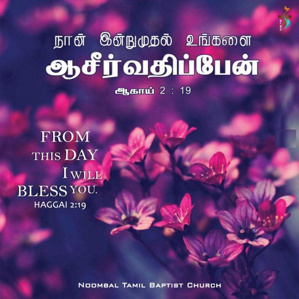 tamil bible