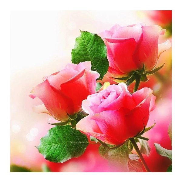 красивое поздравление