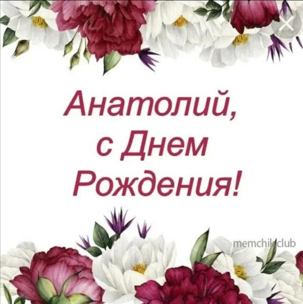 поздравления с днём рождения анатолию