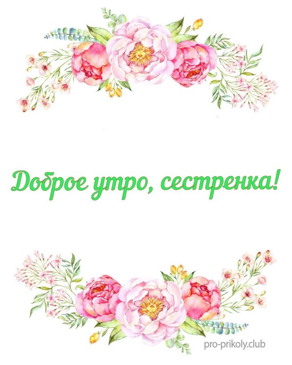 доброе утречко сестрёнка