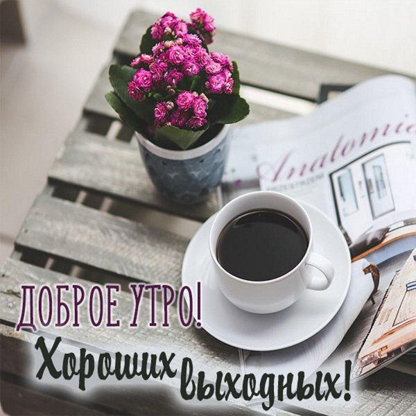 утренний дайджест