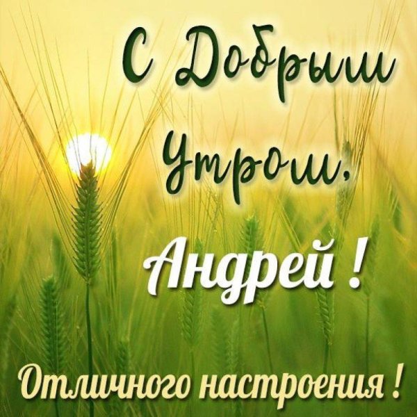 с добрым утром андрей