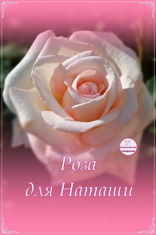 цветы для наташи