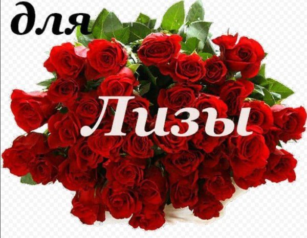 цветы для лизы