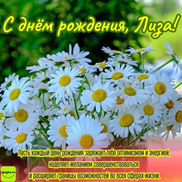 С днем рождения лиза