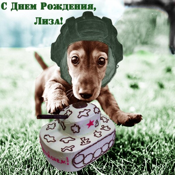 такса с днем рождения