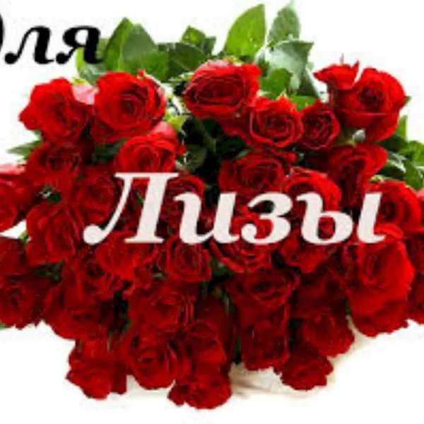 цветы для лизы