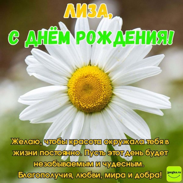 лиза с днем рождения