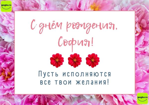 открытки с днём рождения софия девушке