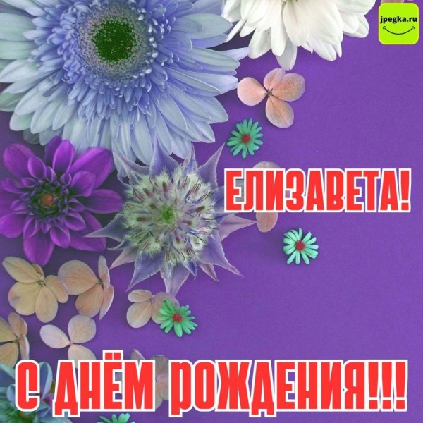 с днем рождения елизавета
