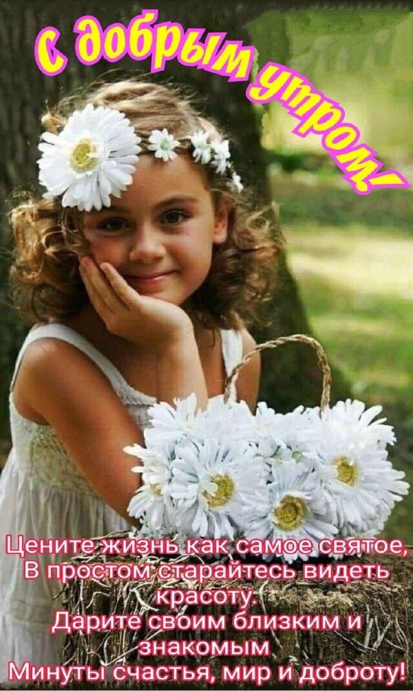 венок из ромашек