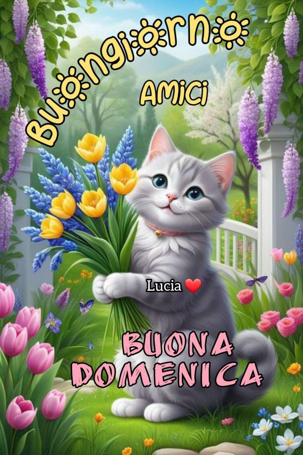 buona domenica