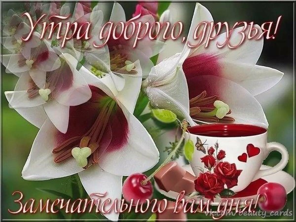 с добрым утром дорогие друзья