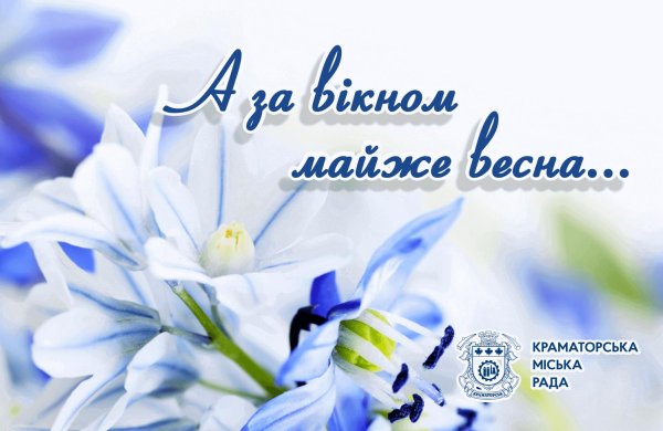 бело голубые цветы