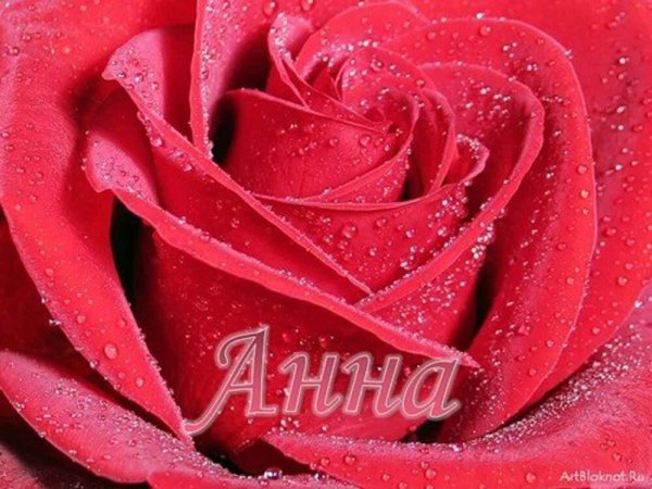 цветы для жанны