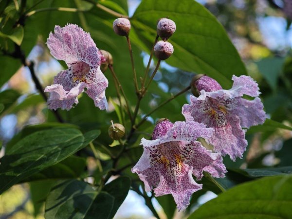 Жанна с днем рождения