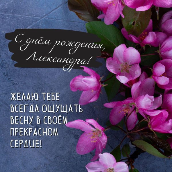 с днём рождения женщине александра