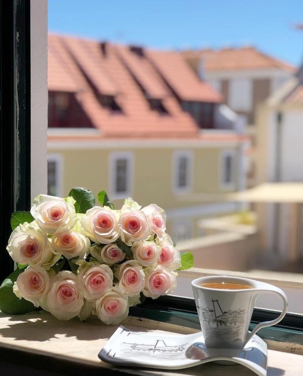 утренние цветы