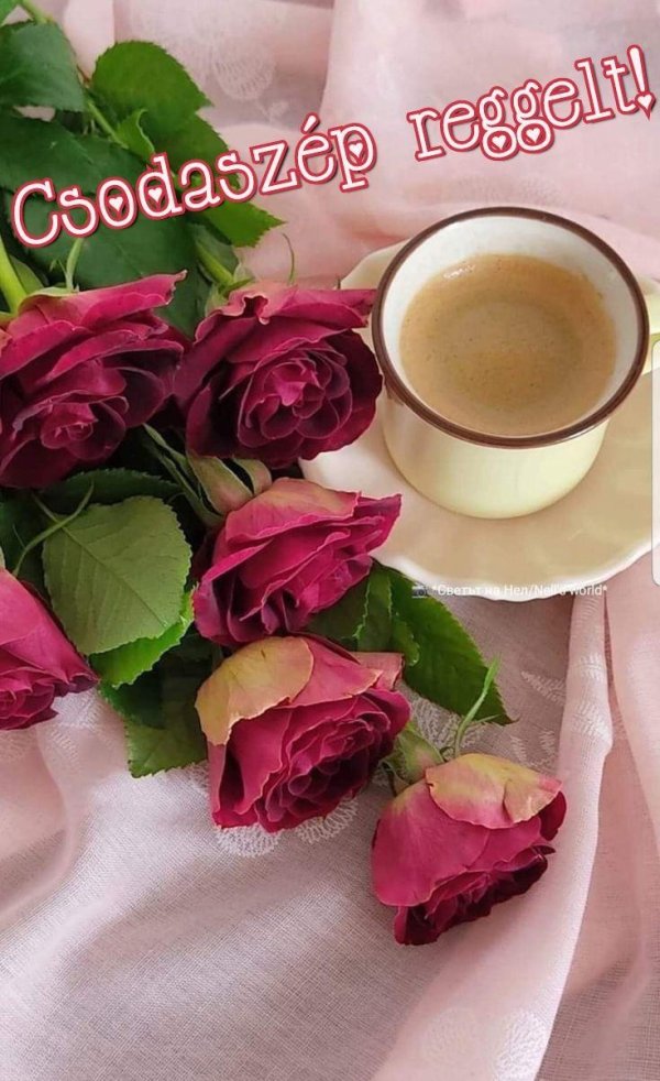good morning rose