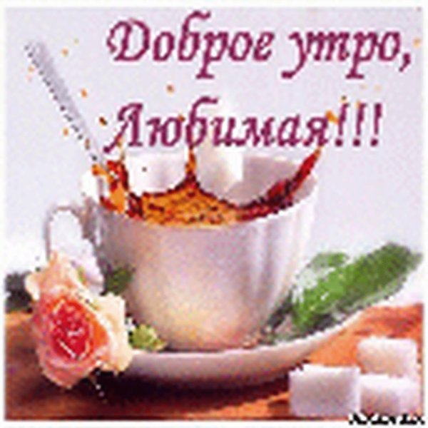 доброго утра любимая