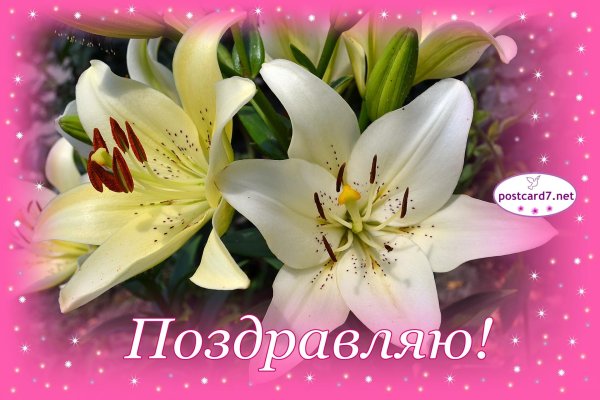 с днем рождения лилия поздравления