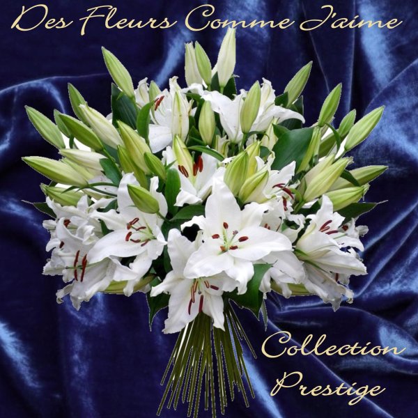 лилии открытка