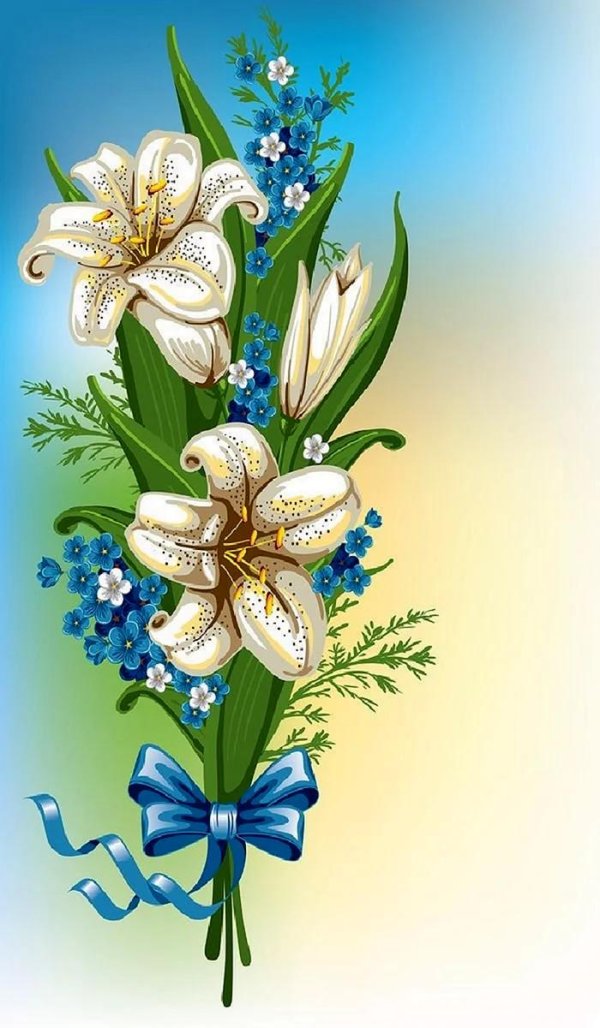 лилии цветок