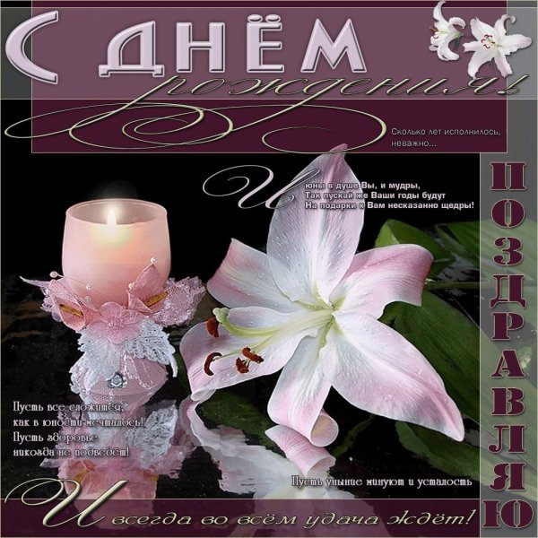 лилии вечером