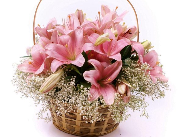 букет 5 лилий